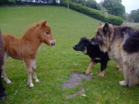 2009_0803photosmy0031.JPG