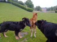 2009_0803photosmy0027.JPG