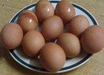 egg2.JPG