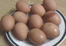 egg3.JPG