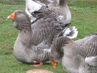 IMG_0479.JPG