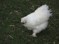 IMG_0757.JPG