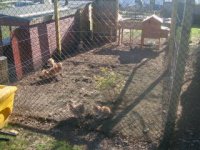 up to 12-05-2010 185.JPG
