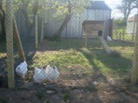 up to 12-05-2010 279.JPG
