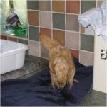 Investigating the kitchen.jpg