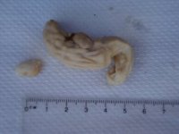 DSC01113-1.JPG