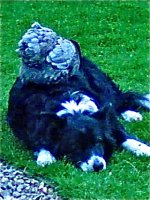 DSC00486_edited.jpg