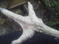 DSCF5457.JPG