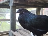 12052010118.jpg