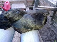 12052010127.jpg