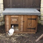 Chickens 012.jpg