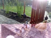 23092010353.jpg