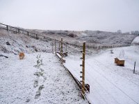 snow nov1 10 002.jpg