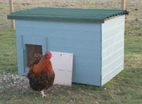 cheap-chook-house.jpg