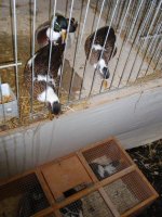 PA240657_450x600.jpg
