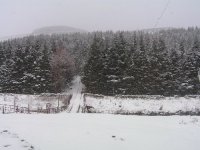 snow 002.JPG