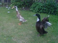 IMG-20110529-00014.jpg