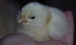 20110528_99_2.jpg