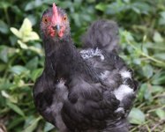 20110627_99_6.jpg