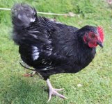 20110716_99_6.jpg