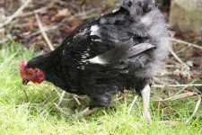 20110716_99_23.jpg