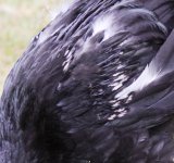 20110716_99_30.jpg