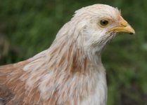 20110716_99_31.jpg
