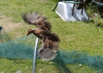 20110724_99_10.jpg
