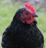 20110731_99.jpg