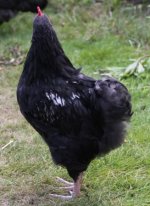 20110731_99_8.jpg