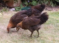 20110807_99_7.jpg