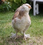 20110807_99_2.jpg