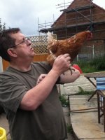 Hen2.jpg