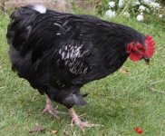 20110821_99.jpg