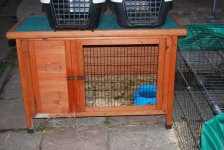 chook-house1.jpg