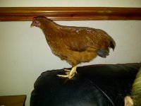 IMG-20110829-00072.jpg