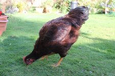 20110927_99_18.jpg