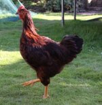 20110927_99_13.jpg