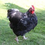 20110927_99_15.jpg