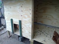 pics from phone 1 021 (Small).jpg