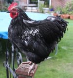 20111007_99_12.jpg