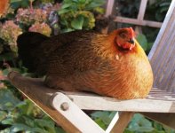 20111113_99_17.jpg