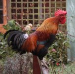 20111217_99_23.jpg