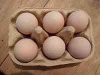 eggs2 13jan.jpg