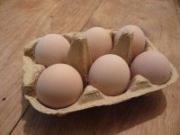 Eggs13jan.jpg