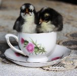 20120119_99_8.jpg