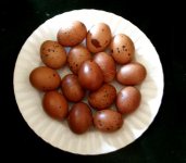 speckledeggsonplate.jpg