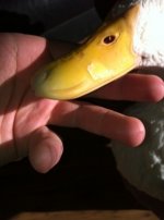 ImageUploadedByTapatalk1328262250.873625.jpg