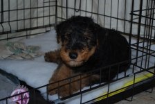 tupp2resize.jpg