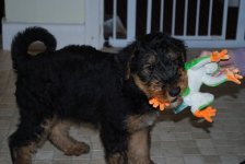 tupp3resize.jpg